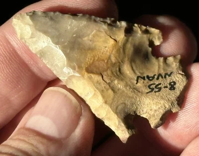 很好的正品 FLORIDA BOLEN BEVEL / KIRK CORNER NOTCH 深南 ARROWHEAD — 第 1/4 张图片