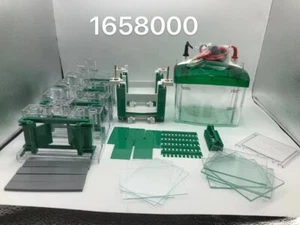 Repuesto OEM para BioRad Mini-PROTEAN Tetra Cell 4 gel 0,75 mm 10 pocillos #1658000 - Imagen 1 de 1