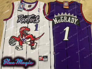national sports raptors jersey