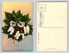 Cotton Blossoms Postcard 1936 Teich Linen Unposted