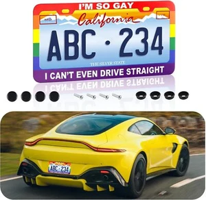 Cornici targa I'm So Gay, cover divertente con colori colorati  - Foto 1 di 7