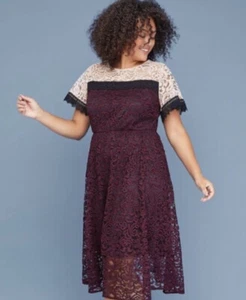 Abito Lane Bryant pizzo color block viola rosa taglia 16 nuovo senza etichette - Foto 1 di 4