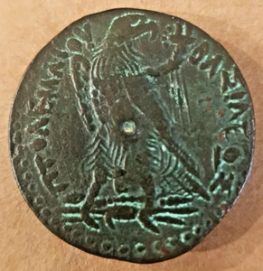 ANCIENT EGYPT: Ptolemy III, AE39, Alexandria, 246-222 BC. STUNNING! - Picture 1 of 2