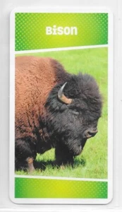 Carte Cartatoto - Bison - Bild 1 von 2