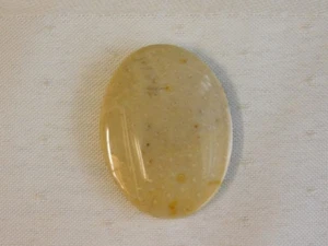 Fossil Palm Wood Cabochon - Picture 1 of 6