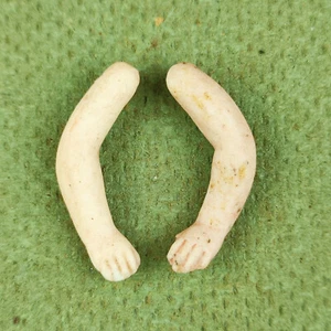 Antique porcelain dollhouse doll arms, elastic fixing, 1.27" / 32 mm, Germany - Picture 1 of 5