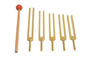 Nuevo DORADO 5 diapasones cerebrales sintonizador + mazo + bolsa + envío rápido terapia de curación de sonido - Imagen 1 de 4