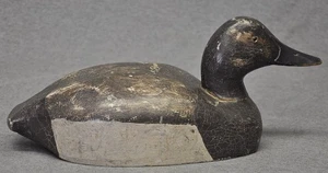 VINTAGE CANVASBACK HEN FROM MI ORIGINAL PAINT CIRCA 1950'S - Picture 1 of 7