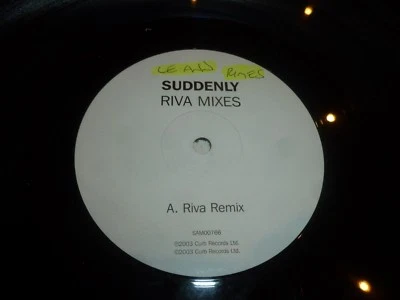 LE ANN RIMES - Suddenly - UK 2-track 12" Vinyl Single - White Label - DJ Promo Foto 1 de 3