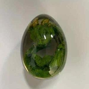 Resin Dragon Egg - Picture 1 of 1