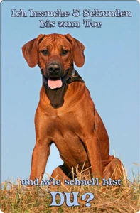Rhodesian RIDGEBACK A4 Alu Warnschild Hundeschild SCHILD Türschild - RRB 01 T14 - Bild 1 von 2