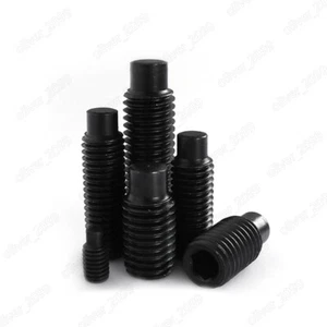 Black 304 Stainless Steel Hexagon Socket Set Screws With Dog Point M2.5 M3 M4 - Picture 1 of 6