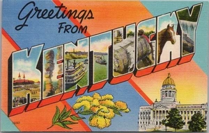 Postal de colección Kentucky carta grande capitolio estatal y flor / lino Tichnor - Imagen 1 de 2
