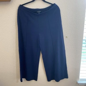J Jill Wearever Collection Pants Wide Leg Navy Blue Stretch Ankle Sz M 24" Insim - Picture 1 of 16
