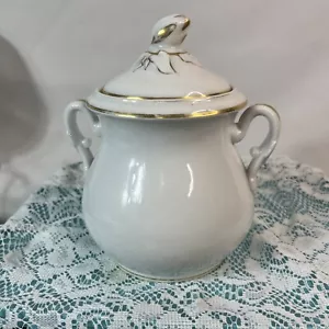 Haviland Limoges Barattolo Biscotti Francese Shabby Chic 8 in Alto 6 in Largo - Foto 1 di 8