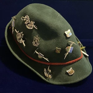 Vintage Alp Hat Lot 13 Alpine Tyrolian Bavarian Austrian Souvenir Hat Pins PicAx - Picture 1 of 19