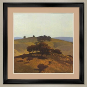 35W"x35H": HILLS NEAR CHICO by MARC BOHNE - TREES DOUBLE MATTE, GLASS and FRAME - Picture 1 of 6
