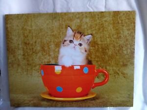 Kitten/Cat In A Tea Cup Pets Canvas Picture Print Wall Art (40x30cms)