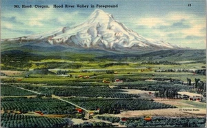Mt Hood Oregon Hood River Valley In Foreground Linen Postcard - Picture 1 of 4