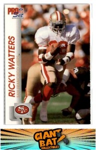 1990 Pucko Niagara Falls Rapids #13 Gregg Radachowsky