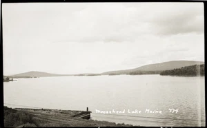 EARLY 1900s POSTCARD FILM NEGATIVE, "MOOSEHEAD LAKE MAINE, 774 " - Picture 1 of 1