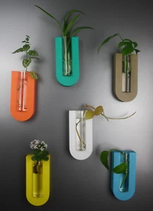 Gerundete Reagenzglas Vase mit Magneten Hydroponic Pflanzenvermehrung Glasvase - Bild 1 von 8
