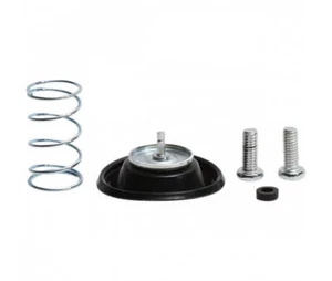 Yamaha 660 Raptor / Big Bär / Kodiak / Bruin - Reparatursatz Pumpe Enrichissem - Bild 1 von 1