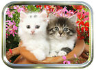 Flower Pot Kittens.    2oz Gold Tobacco Tin, Gift Box, Pill Tin, Storage Box