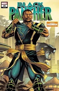 Black Panther #25 Variant Cover 2021 Brand New - Bild 1 von 1