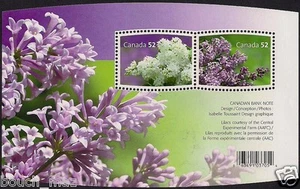 Canada Stamps — Souvenir Sheet — Flowers, Lilacs  #2206  — MNH - Bild 1 von 1