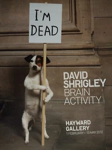 DAVID SHRIGLEY, "Brain Activity" Ausstellungsplakat, Hayward Gallery, 2012. 👍 - Bild 1 von 9
