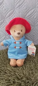 Paddington Bear For Baby Soft Plush 10" BNWT My 1st Paddington Rainbow Designs - Picture 1 of 7