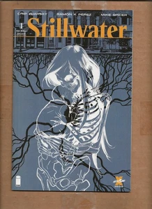 STILLWATER #1 SECONDA VARIANTE DI STAMPA IMMAGINE ZDARSKY - Foto 1 di 2