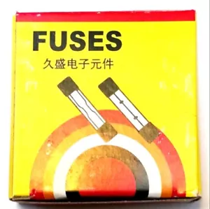 FUSIBILI VETRO SOFFIATO RAPIDO 20MMx5MM *CONFEZIONE DA 100* F5A250V 5A USA - Foto 1 di 3