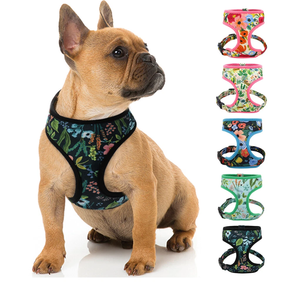 Hundegeschirr Softgeschirr Nylongeschirr Französische Bulldogge Gepolstert Weste - Bild 1 von 4