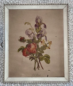 Marco JEAN LOUIS JL PREVOST VINTAGE COLOR ESTAMPADO FLORAL BOTÁNICO Rosa Iris 10x12 - Imagen 1 de 8