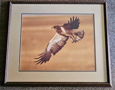 Impresión HAWK de 16 x 20" firmada por Thomas D Mangelsen vintage 1979 enmarcada mate 126/500 Foto 1 de 4
