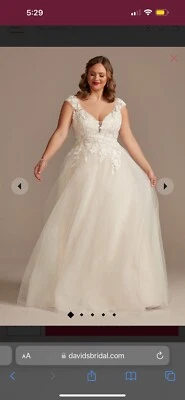 Vestido de novia y velo de David Foto 1 de 4