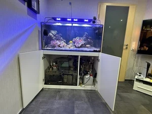 Meerwasseraquarium 350 Liter - Bild 1 von 3
