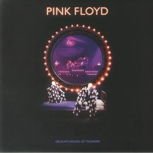 PINK FLOYD - Delicate Sound Of Thunder (remastered) - Vinyl (3xLP) - Picture 1 of 1
