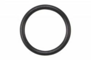 Junta tórica Elvedes 2019110 para Sram Banjo - Imagen 1 de 1