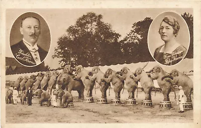 AK Zirkus Krone mit Elefanten  (O19) - Bild 1 von 2