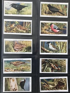 PLAYERS Cigarette Card Set - WILD BIRDS 1932 - Bullfinch Jackdaw Owl Ornithology - Foto 1 di 2