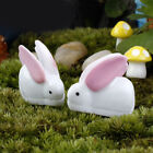  30pcs Landscape Rabbits Garden Decoration Resin Figurine Craft Plant Pot Fairy