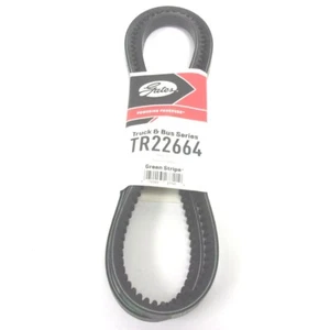 TR22664 NEW GATES GREEN STRIPE TRUCK & BUS V-BELT 67" X 19/32" - Picture 1 of 4