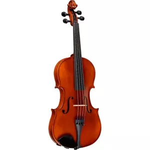Bellafina Musicale Series Viola Outfit 13-in. - Picture 1 of 8