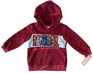 Sudadera con Capucha Marvel Avengers Logo Niño ENCUENTRA TU PODER Talla 2T Borgoña - Imagen 1 de 6
