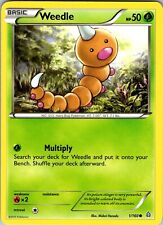 Pokemon TCG Weedle XY Primal Clash 1/160 Regular Common Card NM