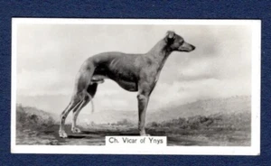 WHIPPET, Vicar of Vnys - Original 1938 Photo Cigarette Card - Picture 1 of 2