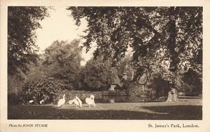 St James Park London by John Stone Postcard (H636) - Picture 1 of 3